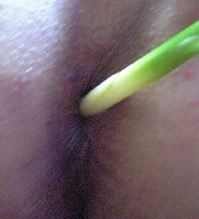 leaf ginger in bottom